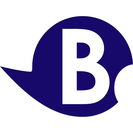 Nederlands de Baas